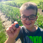 West Michigan, Ottawa County u-pick blueberry farms. strawberries