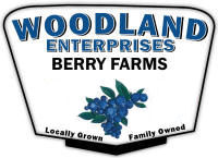 Best quality blueberries and raspberries in West Michigan! U-pick blueberries or we pick them for you, along
with already picked raspberries. Quick drive from Zeeland, Holland, Allendale, Standale, Hudsonville, Grandville, Jenison, West Olive. Come visit our beautiful farm to get
some of the best berries you have ever had!